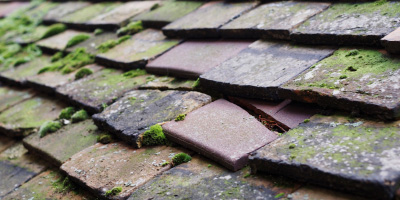 Belchamp St Paul roof repair costs